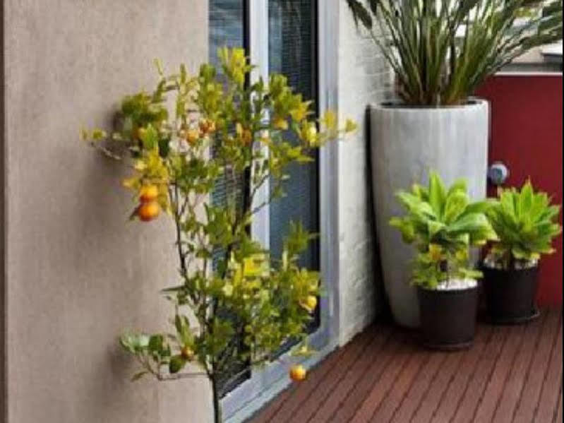 Twofourtwo Boutique Apartments Launceston Exterior foto